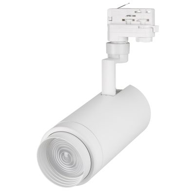 Светильник LGD-ZEUS-4TR-R100-30W Day