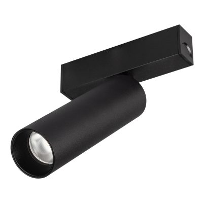 Светильник MAG-SPOT-25-R120-12W Day4000