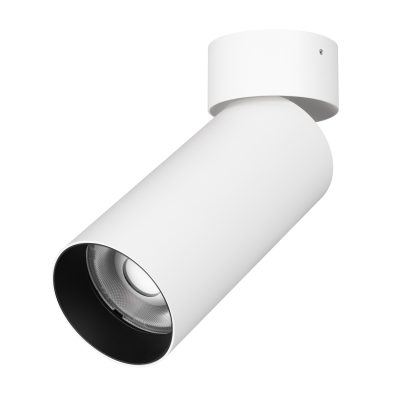 Светильник SP-GABI-SURFACE-FLAP-R60-12W Day4000