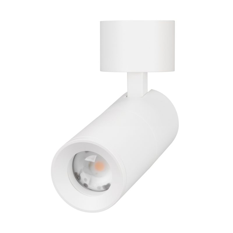 Светильник SP-ARTEMIS-SURFACE-FLAP-R55-12W Day4000