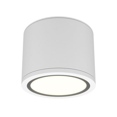 Потолочный светильник Рэндо / Rendo 1*GX53 12 Вт IP 44
