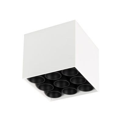 Светильник SP-ORIENT-SURFACE-TC-S95x95-20W Day4000