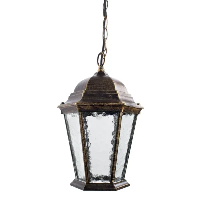 Уличный подвесной светильник Arte Lamp GENOVA A1205SO-1BN