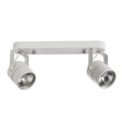 Спот Arte Lamp LENTE A1310PL-2WH