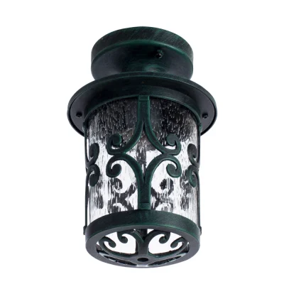 Уличный потолочный светильник Arte Lamp PERSIA A1453PF-1BG