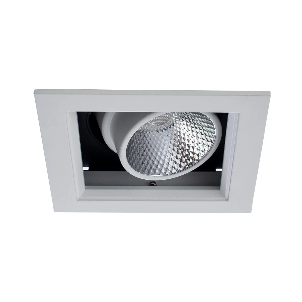 Карданный светильник Arte Lamp CARDANI A1712PL-1WH