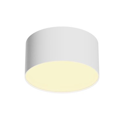 Потолочный светильник Зон / Zon 12 Вт 2700 К 120°