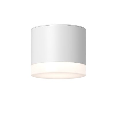 Потолочный светильник Паулина / Pauline 1*GX53 12 Вт IP 44