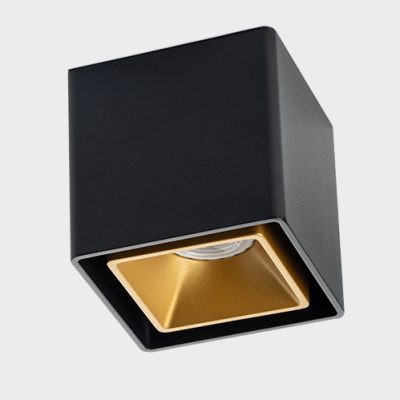 FASHION FX1 black + FASHION FXR gold светильник потолочный