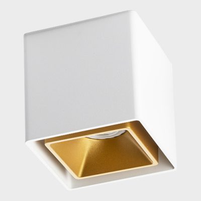 FASHION FX1 white + FASHION FXR gold светильник потолочный