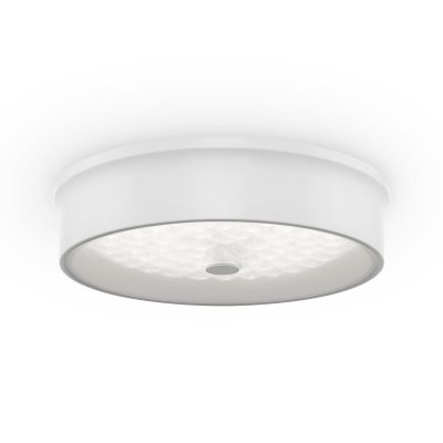 Потолочный светильник FR10011CL-L24W Элементы 24 Вт LED