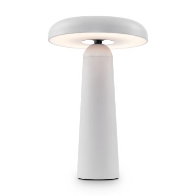 Аккумуляторный светильник Гриб / Mushroom
