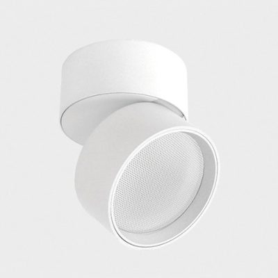 IT02-005 white 4000K светильник потолочный влагозащищенный
