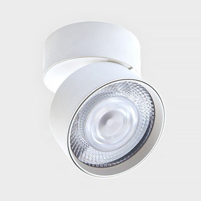 IT02-011 white 3000K светильник потолочный влагозащищенный