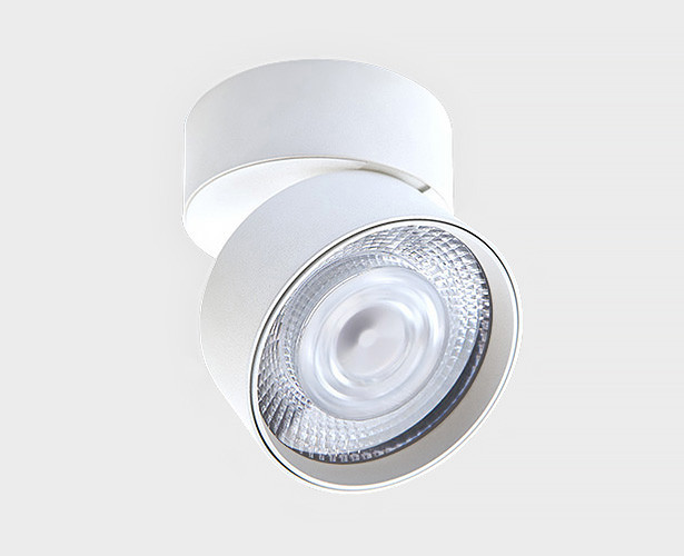 IT02-011 white 3000K светильник потолочный влагозащищенный