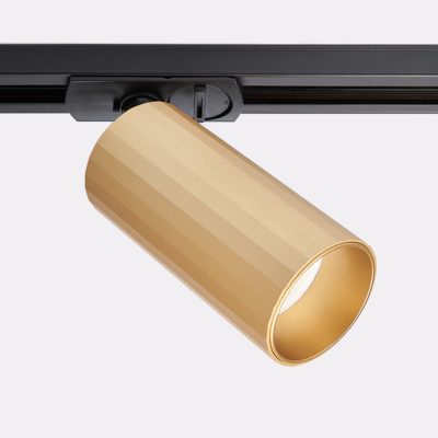 IT08-8010 gold светильник трековый