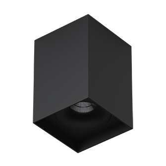 Накладной светильник под сменную лампу Ledron MJ1021GW Black