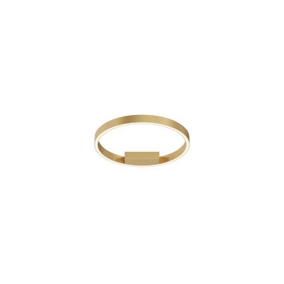 Потолочный светильник Рим / Rim 2600-3500К 24Вт