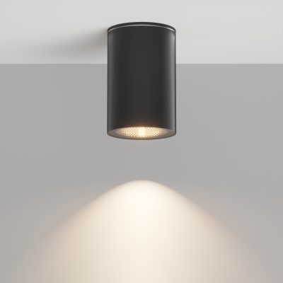 Потолочный светильник Ролл / Roll GU10х1 50Вт IP 54