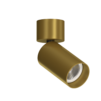 Накладной поворотный светильник под сменную лампу Ledron MJ-1184 Gold