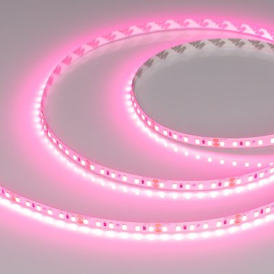 Лента RT-A120-8mm 24V Pink