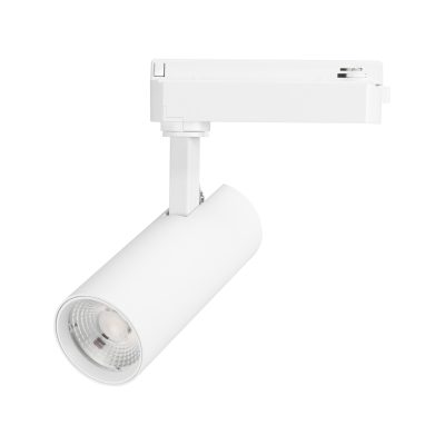 Светильник LGD-GERA-2TR-R55-10W Day4000