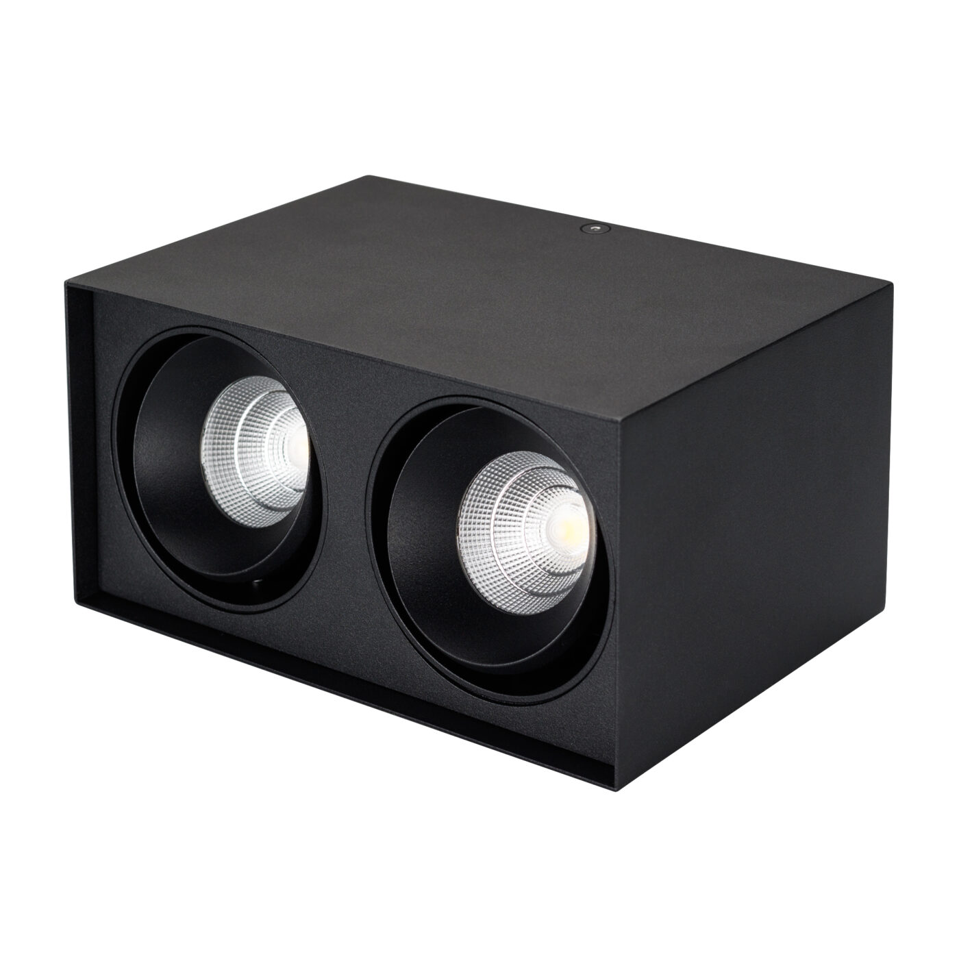 Светильник SP-CUBUS-S100x200BK-2x11W Day White 40deg