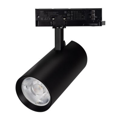 Светильник LGD-GERA-4TR-R90-30W Warm SP3000-Fruit