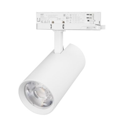Светильник LGD-GERA-4TR-R90-30W Warm SP3000-Fruit
