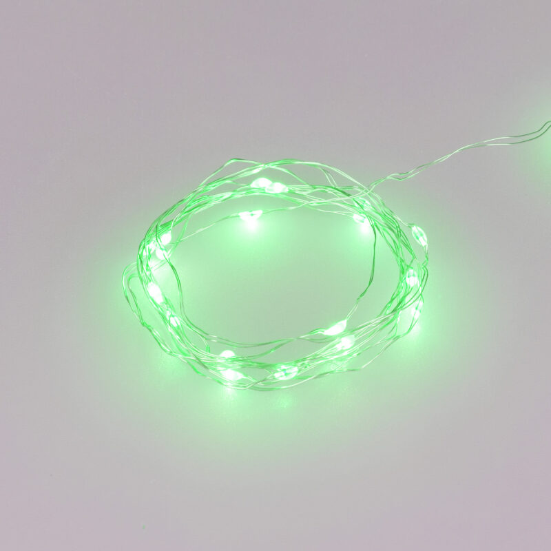 Светодиодная гирлянда ARD-DEW-HOME-2000-CLEAR-20LED-STD Green