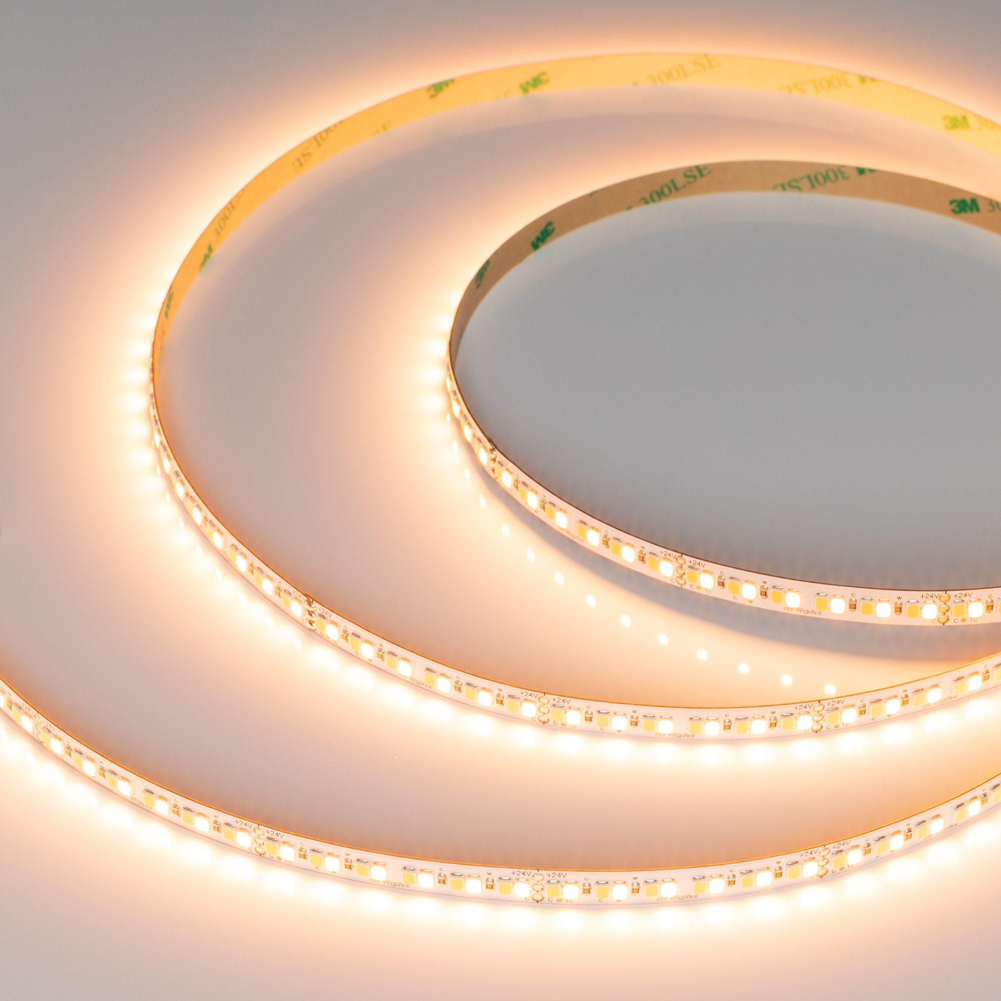 Лента RT-A240-8mm 24V Day-MIX