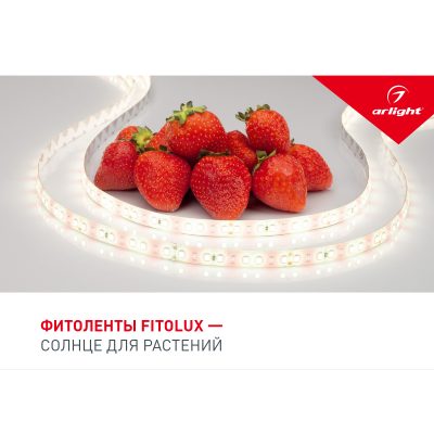 Буклет FITOLUX. 2022