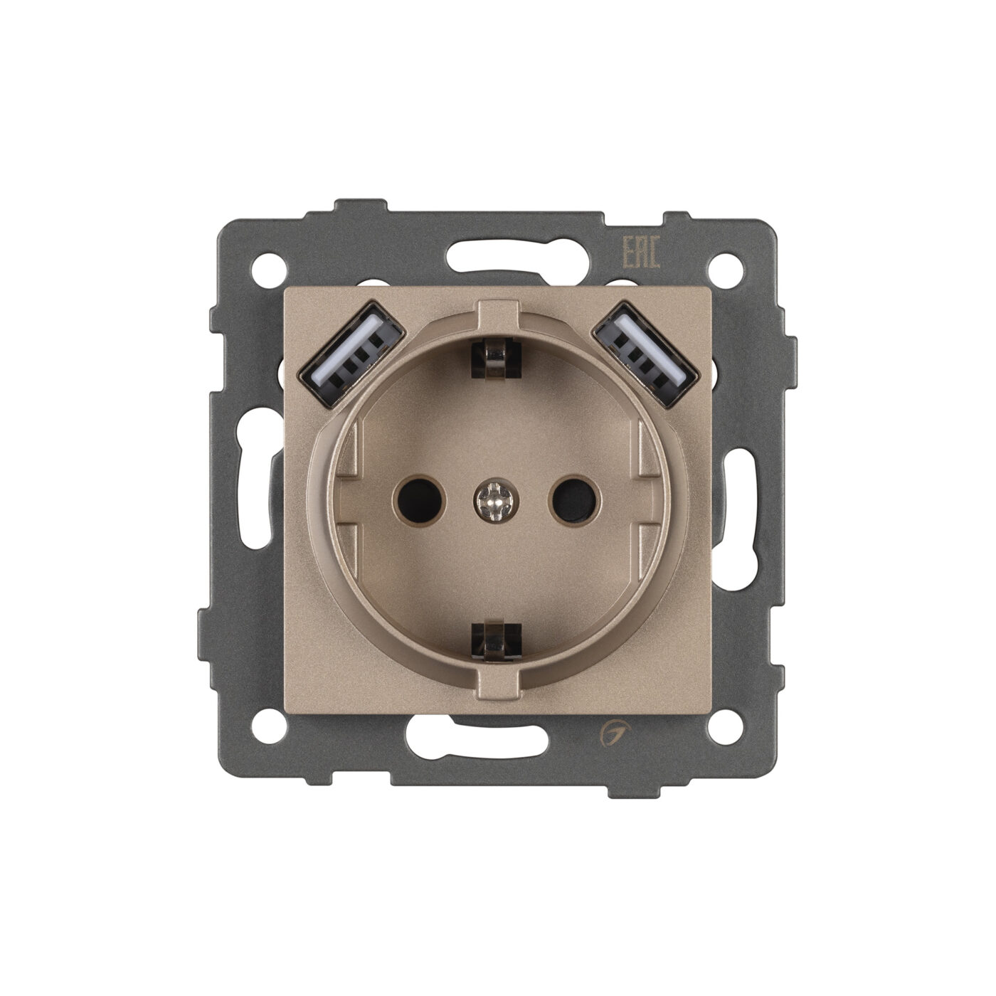 Механизм розетки с USB зарядкой SCT-MUAA-PL-GD-V