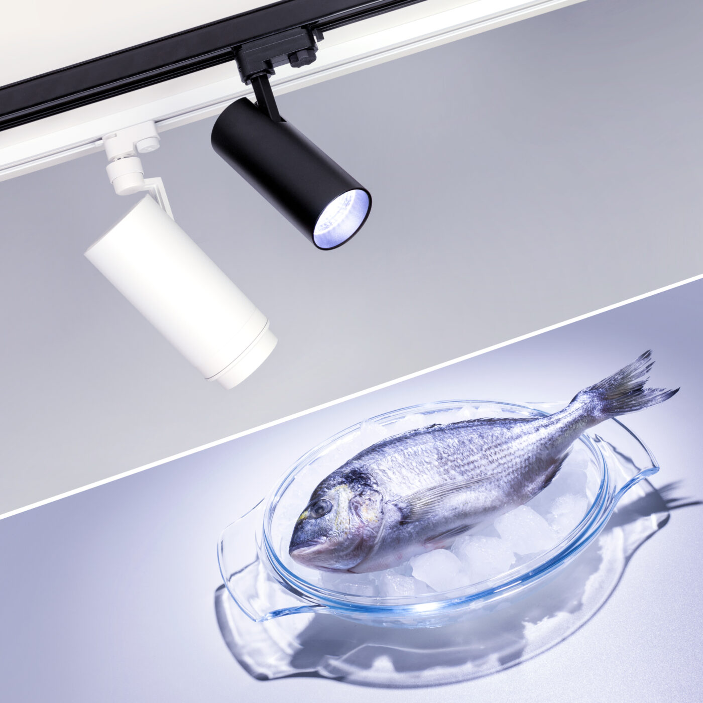 Светильник LGD-ZEUS-4TR-R88-20W Cool SP7500-Fish