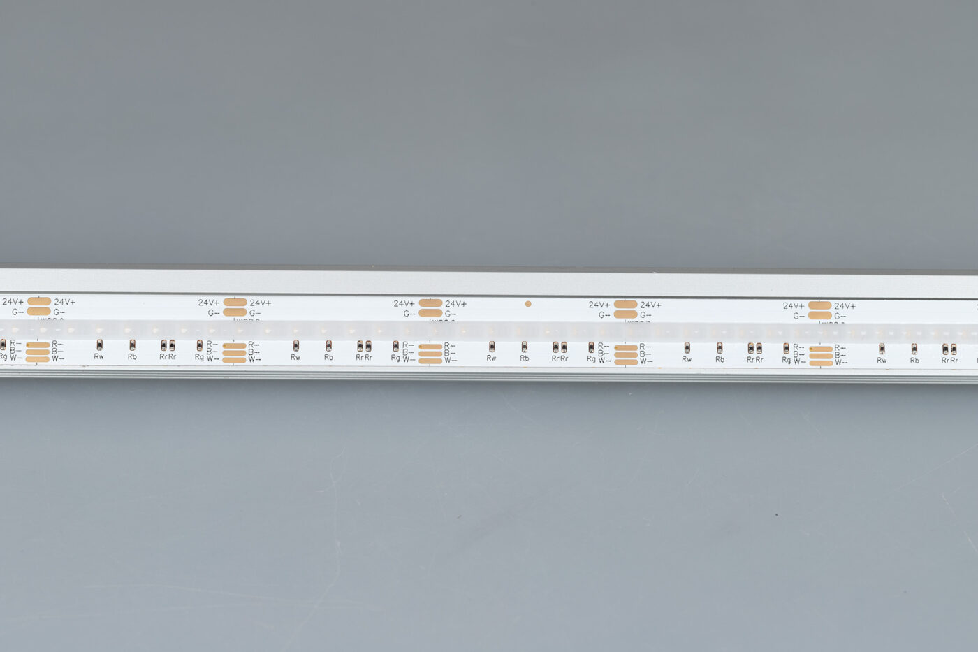 Лента CSP-X840-12mm 24V RGBW-Day