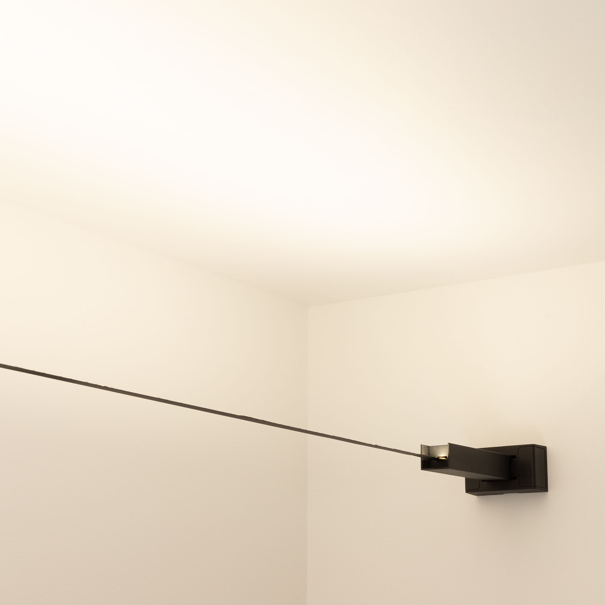 Лента-трос STINGRAY-IC-A120 24V Day4000