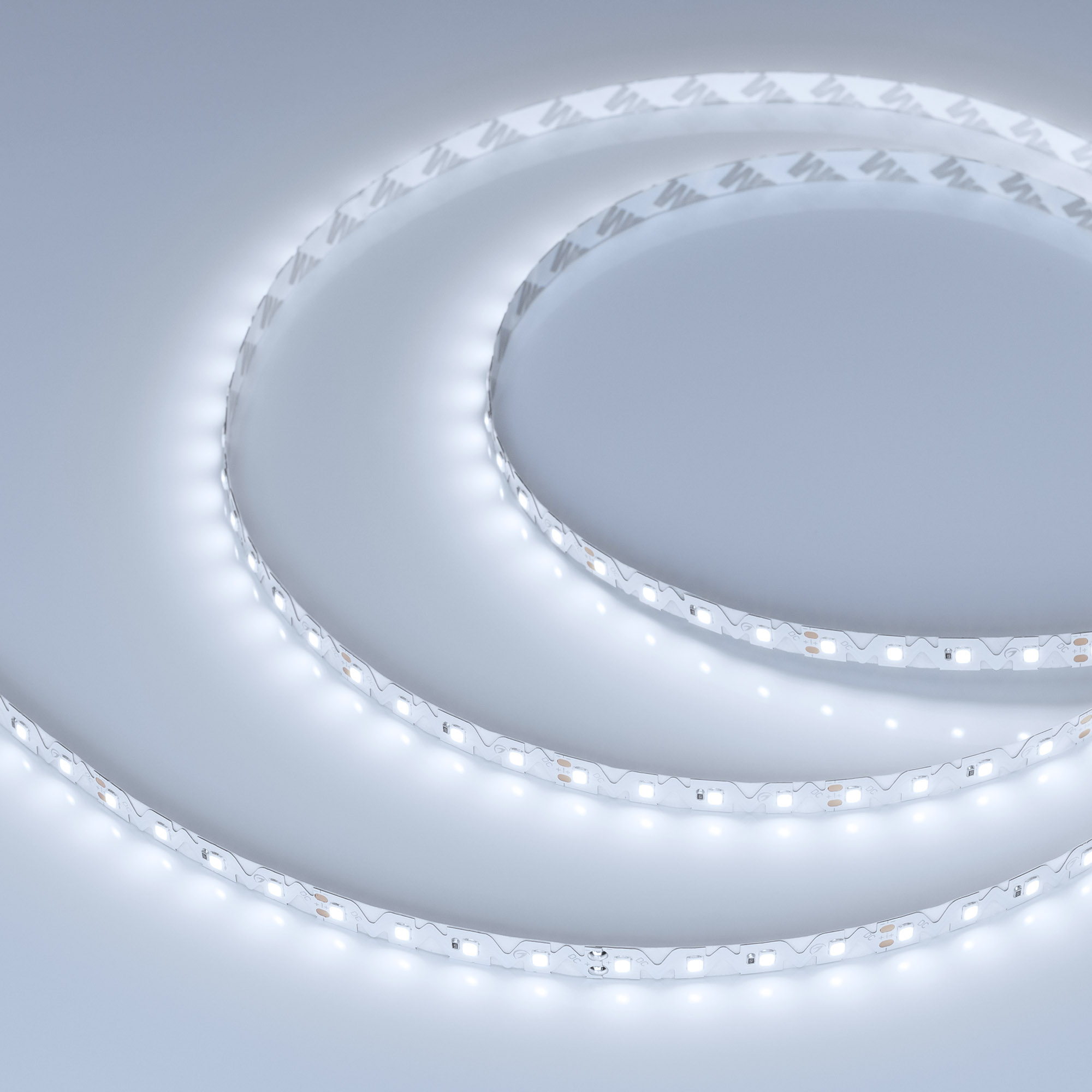 Лента RZ-A80-8mm 24V White6000