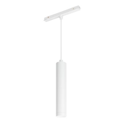 Светильник MAG-ORIENT-SPOT-HANG-R45-12W Warm3000