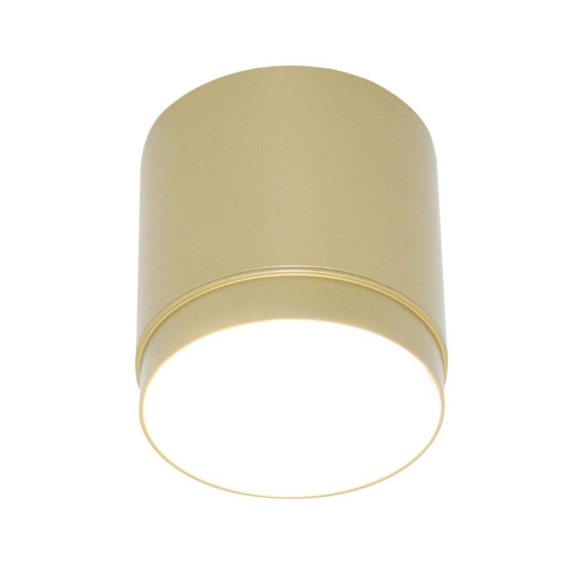 Потолочный светильник Technical C088CL-GX53-MG