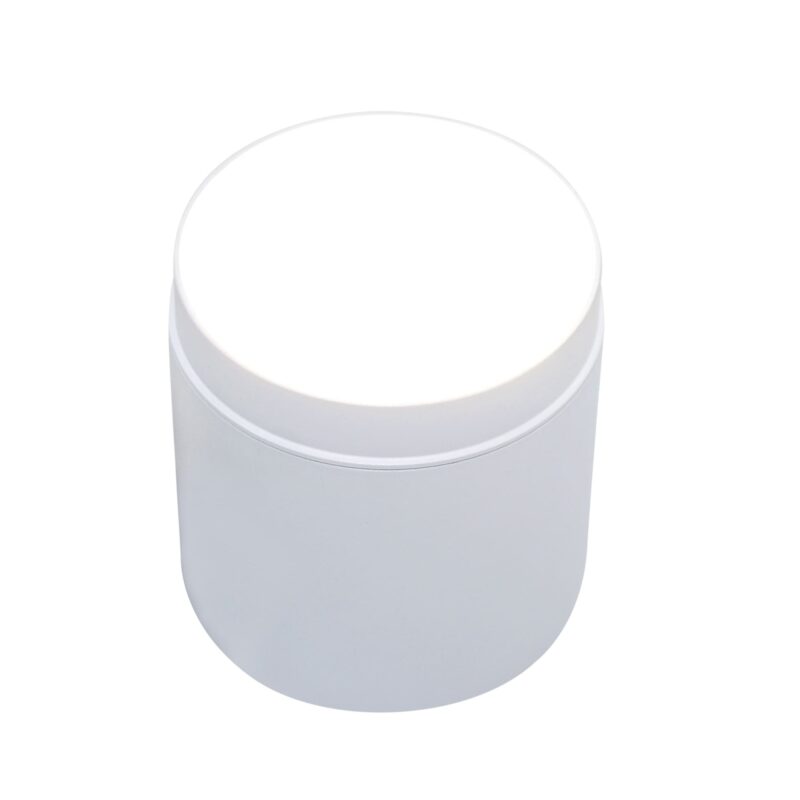 Потолочный светильник Technical C088CL-GX53-W