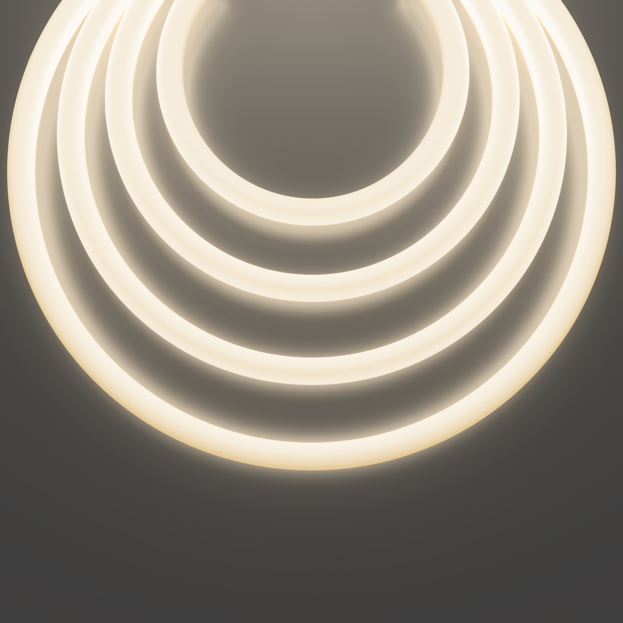 Гибкий неон Led Strip 433002