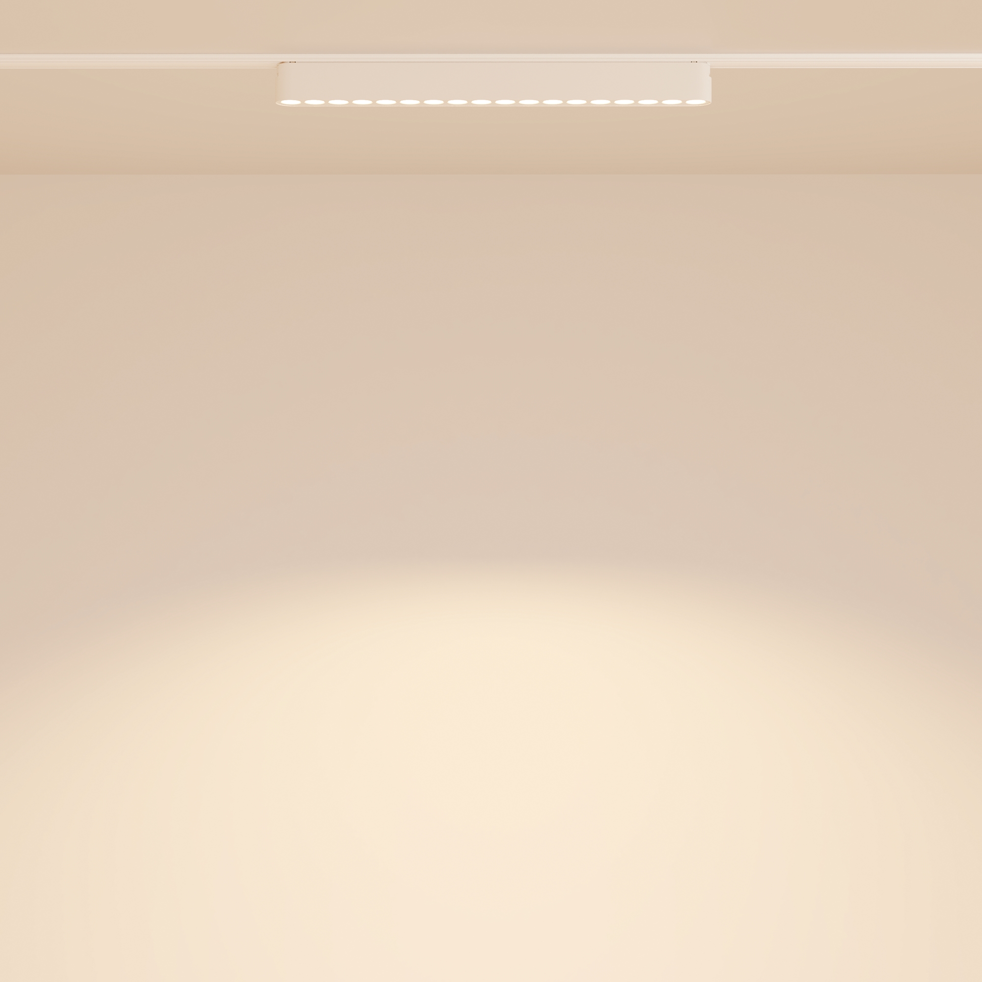 Трековый светильник Technical TR082-1-18W3K-M-W