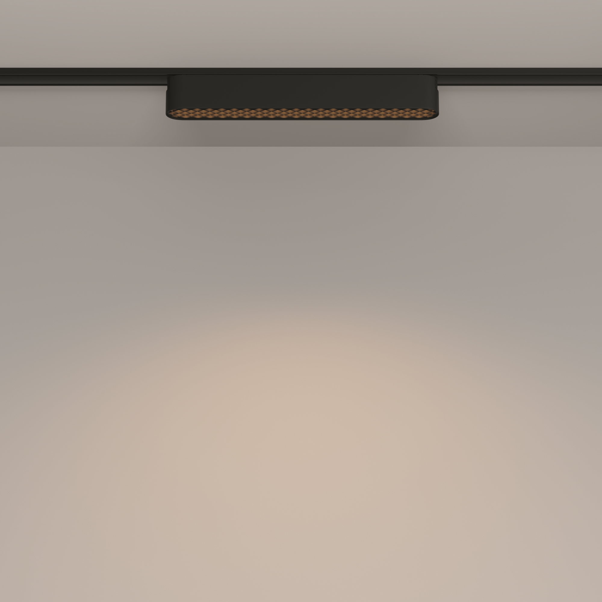 Трековый светильник Technical TR084-1-12W3K-B