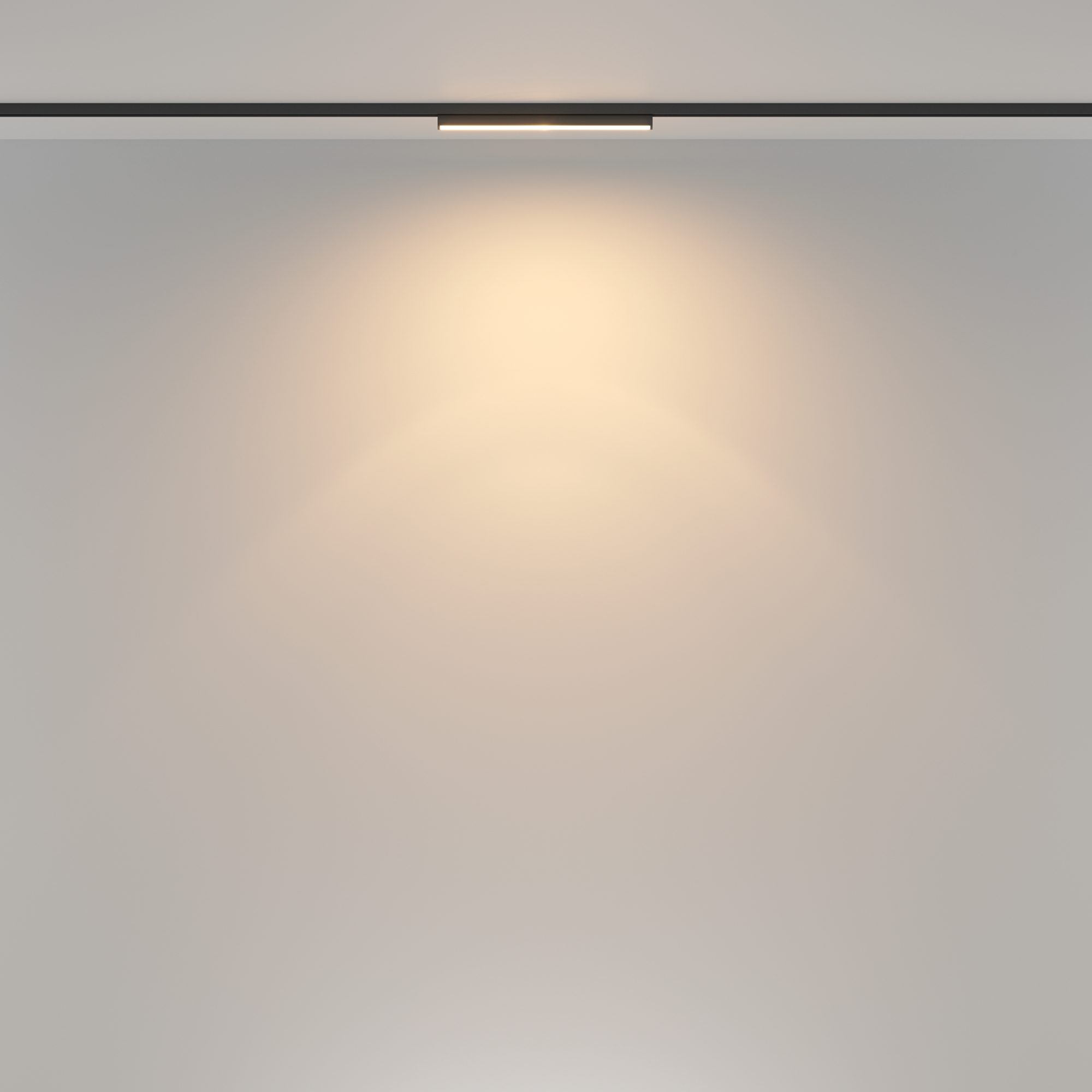 Трековый светильник Technical TR183-1-12WTW-B